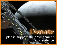 Support Transcendence